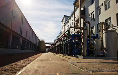 更綠色更環(huán)保--瀛海香料攜手博奕方略為實(shí)現(xiàn)碳中和而努力