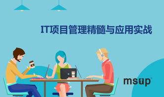 msup 軟件研發(fā)管理培訓(xùn)與咨詢服務(wù) 賦能團(tuán)隊(duì)，驅(qū)動(dòng)卓越