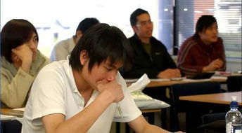 新西蘭教育理念 堅(jiān)決杜絕“工廠化”兒童教育，回歸成長本質(zhì)